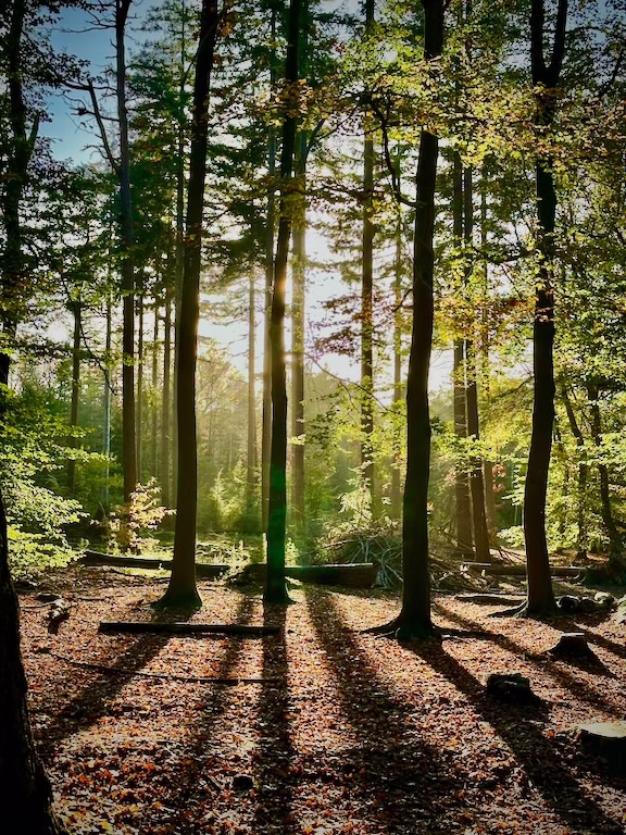 herdenkingsfotograaf en uitvaartfotograaf en herinneringsfotograaf